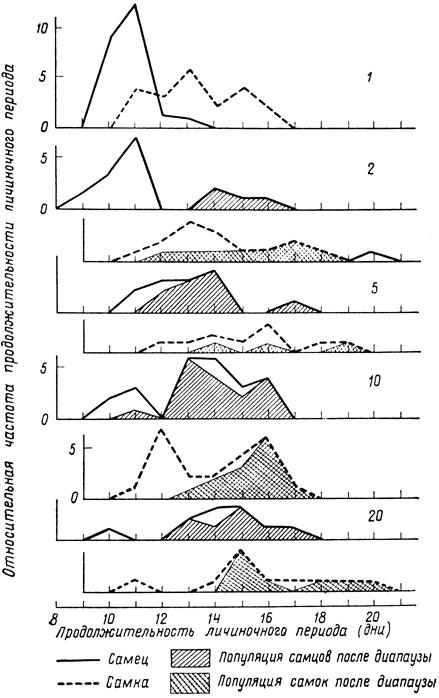 Влияние плотности размещения на продолжительность личиночного периода у Navanga aenescens. Цифры справа (1, 2, 5, 10, 20) соответствуют числу особей в группе (по Ивао, 1962)
