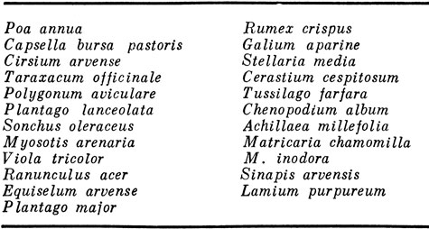 Таблица 11. Встречаемость различных видов растений на старом люцерновом поле (в убывающем порядке)