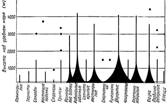 Относительная численность насекомых на разной высоте (по Глику, 1949)